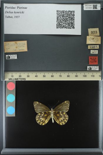 Media type: image;   Entomology 16658